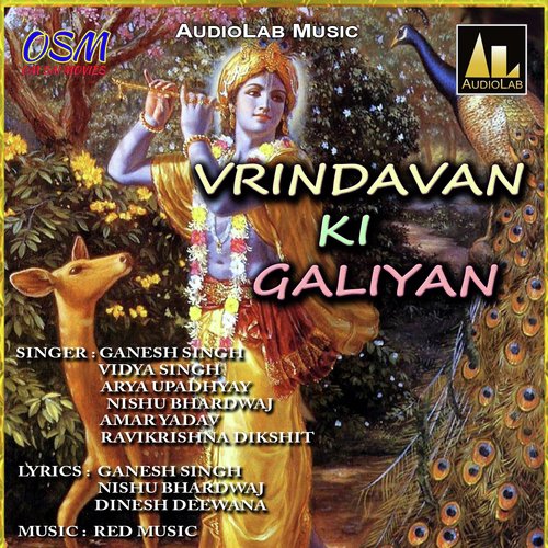 Vrindavan Ki Galiyan Nishu Bharadwaj MP3 Download